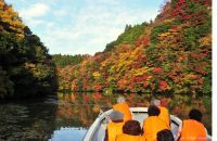 東京から90分の非日常体験。晩秋の房総半島の紅葉とヒーリングスポットをご紹介！