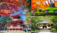 【秋の見どころ】高野山の紅葉と霊宝館秋期企画展