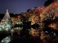 熊本県のゆかりの地、文京区立肥後細川庭園で秋の紅葉ライトアップ-ひごあかり- 開催