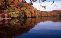 秋の伊東で紅葉を楽しもう!一碧湖＆丸山公園の紅葉が12月上旬見頃に