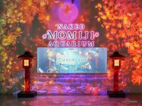 NAKED MOMIJI AQUARIUM