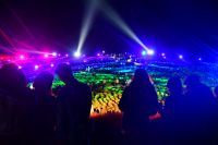コキアライトアップ2025　まもなく開催（国営ひたち海浜公園）