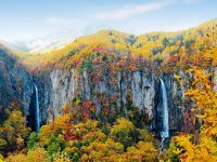 壮大な二条の滝と紅葉のコントラスト 米子大瀑布（日本の滝百選・国指定名勝「米子瀑布群」）、秋の絶景と紅葉を満喫！