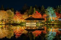 国営昭和記念公園で黄葉・紅葉まつり＆秋の夜散歩2025開催！