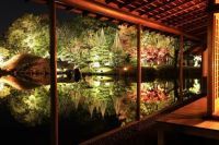 【福井県福井市】旧福井藩主松平家別邸・国名勝「養浩館庭園」で11月限定の秋のライトアップ開催
