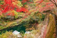 秋に行きたい岡山県の旅「温泉×紅葉スポット」。西日本有数の温泉地「美作三湯」で、紅葉の“渓谷美”や“ライトアップ”など昼・夜で堪能!