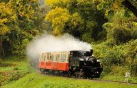 【千葉県市原市】”関東一遅い紅葉”を楽しむ「トロッコ列車で行く！観光ガイドと歩く紅葉の養老渓谷ハイキング」開催