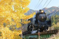 紅葉の名所・長瀞とふかや花園アウトレット タイアップキャンペーン開催!長瀞紅葉まつりの後はお得にショッピング！