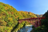黒部峡谷（トロッコ電車沿線）の紅葉の見頃は１１月中旬まで