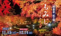 【伊豆の紅葉】修善寺虹の郷、約1000本のもみじが光り輝く『もみじライトアップ』＆『打ち上げ花火』を開催！11月15日(土)から12月14日(日)まで