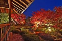 姫路城西御屋敷跡庭園　好古園「紅葉会」を開催。園内の紅葉した木々をライトアップ。