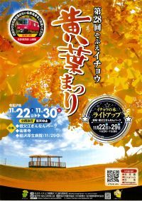 日本有数の銀杏産地 祖父江町で黄金色の秋を楽しむ「第28回そぶえイチョウ黄葉まつり」を開催！
