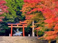 秋の霧島 紅葉が見頃に。霧島山を中心に、多様な自然と文化に彩られた紅葉スポットが点在