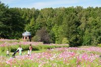 【北海道・札幌】秋の滝野で色さがし！国営滝野すずらん丘陵公園「たきのオータムカラーズ2026」9月12日(土)より開催