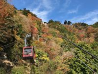 【山梨・身延山】紅葉の絶景を空中散歩で！山梨・静岡・長野県民限定「身延山ロープウェイ 紅葉キャンペーン」10月10日開幕