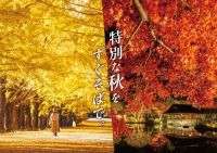【東京都立川市】「日本夜景遺産」に認定！国営昭和記念公園「黄葉・紅葉まつり＆秋の夜散歩2026」10月29日開幕