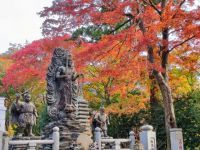 都心から約1時間で紅葉狩り。「高尾山もみじまつり」10月24日開幕、ケーブルカー沿線の紅葉ライトアップも