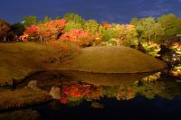 京都・梅小路公園「朱雀の庭」で紅葉まつり11月13日から。池に映る“逆さ紅葉”をライトアップ