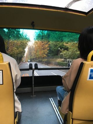 スカイバス東京6