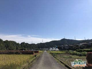 秋川渓谷 10