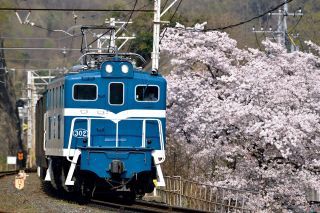 電気機関車(青・白帯)　イメージ