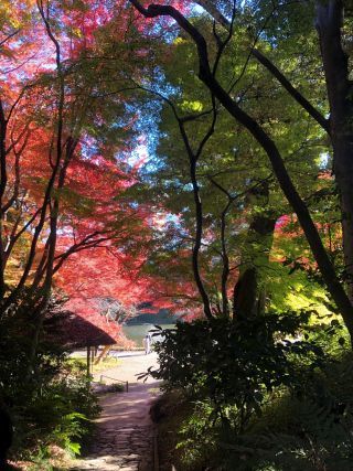 小石川後楽園