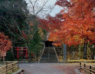 岩屋寺