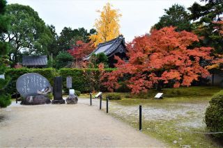 隨心院