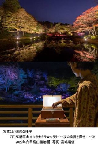 六甲高山植物園 ひかりの森～夜の芸術散歩～