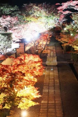 満願寺「宵の紅葉」２