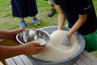 八郷の新米すくい＆販売