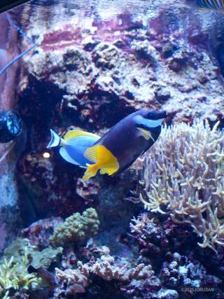 ドリンク片手に眺めてみては？