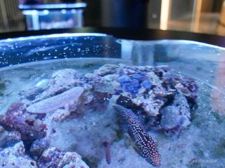 魚たちを眺めながらひと休み