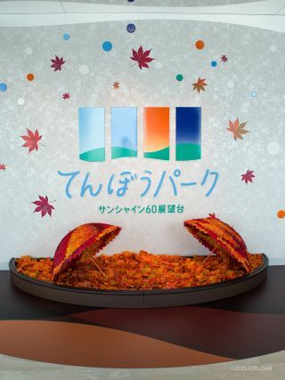 落ち葉コーナー、茶色の部分からお入りください