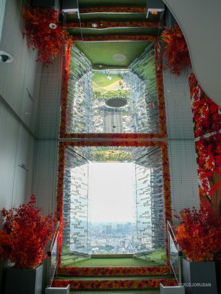 景色と合わせて紅葉が楽しめます