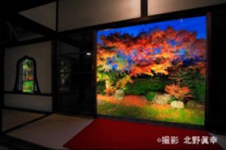 天得院　夜のライトアップ