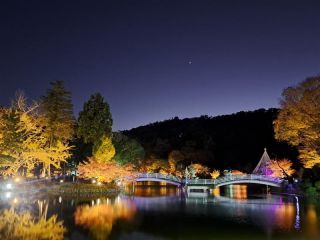 紅葉のライトアップ