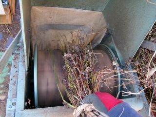 七国山のそばの実収穫体験