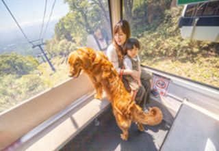 紅葉ハンターゴンドラ2
