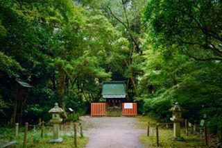 昼間の半木神社の様子