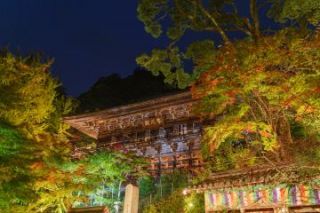 紅葉ライトアップ