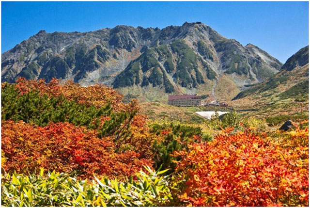 ナナカマドの赤色と山肌の紅葉の彩りが鮮やかな立山
