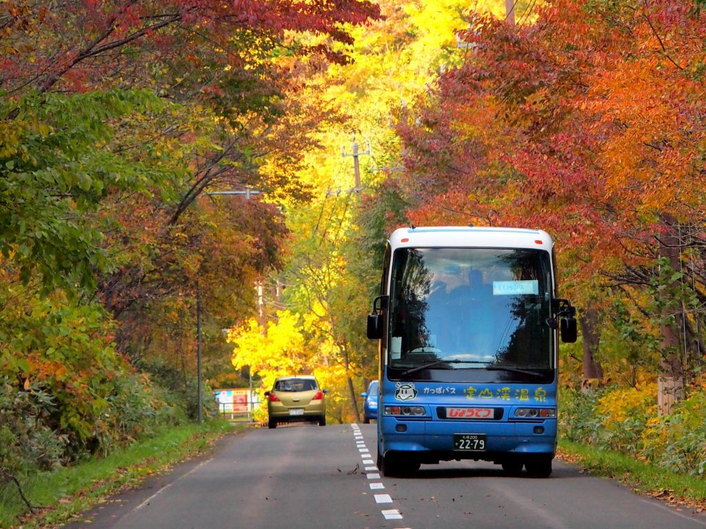 札幌 定山渓の紅葉周遊バスツアー 紅葉かっぱバス 19年10月1日 火 10月21日 月 運行 紅葉情報