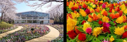 （左）「四季の庭」※写真は春の様子／（右）「コケモモ」
