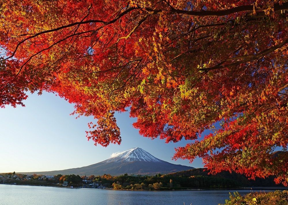富士河口湖町にて 第22回 富士河口湖紅葉まつり を開催 新しい生活様式 に基づく旅のあり方を推進 紅葉情報