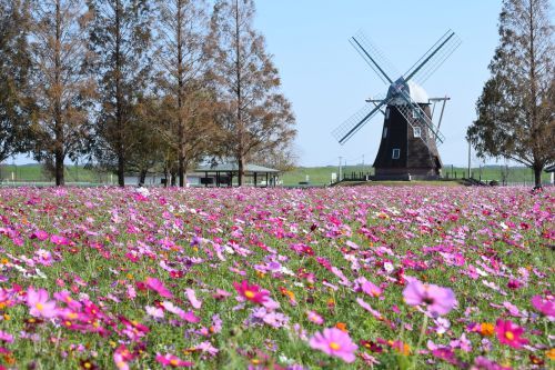 柏市あけぼの山農業公園