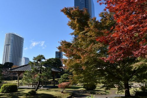 旧芝離宮庭園の秋　1