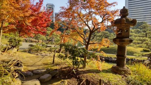 旧芝離宮庭園の秋　4