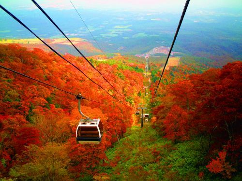 マウントジーンズ那須「紅葉那須ゴンドラ」