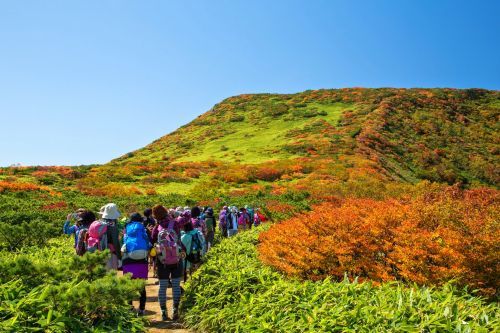 那須高原の紅葉